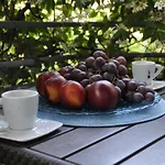 Alessia Apartments-top Location And Garage Parking Apartment