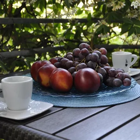 Alessia Apartments-top Location And Garage Parking דירה